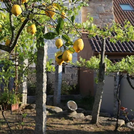 Casa De La Tita Vakantiehuis *