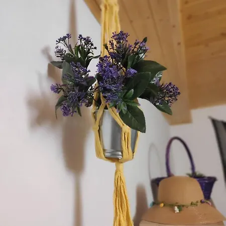 Casa De La Tita *